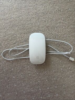 Apple White Glossy Magic Mouse with White Cable (Lightning and type C Cable)